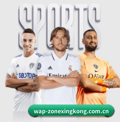 五大体育板块覆盖,从比分到直播全覆盖
