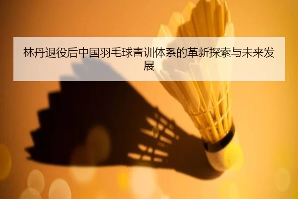 林丹退役后中国羽毛球青训体系的革新探索与未来发展