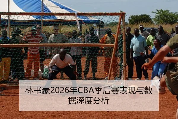 林书豪2026年CBA季后赛表现与数据深度分析